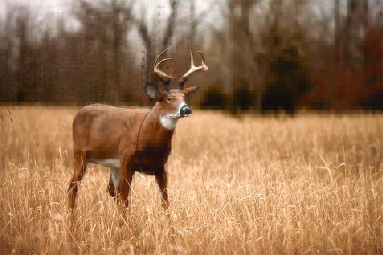 Flambeau-Outdoors-Buck-Boss-Field-750